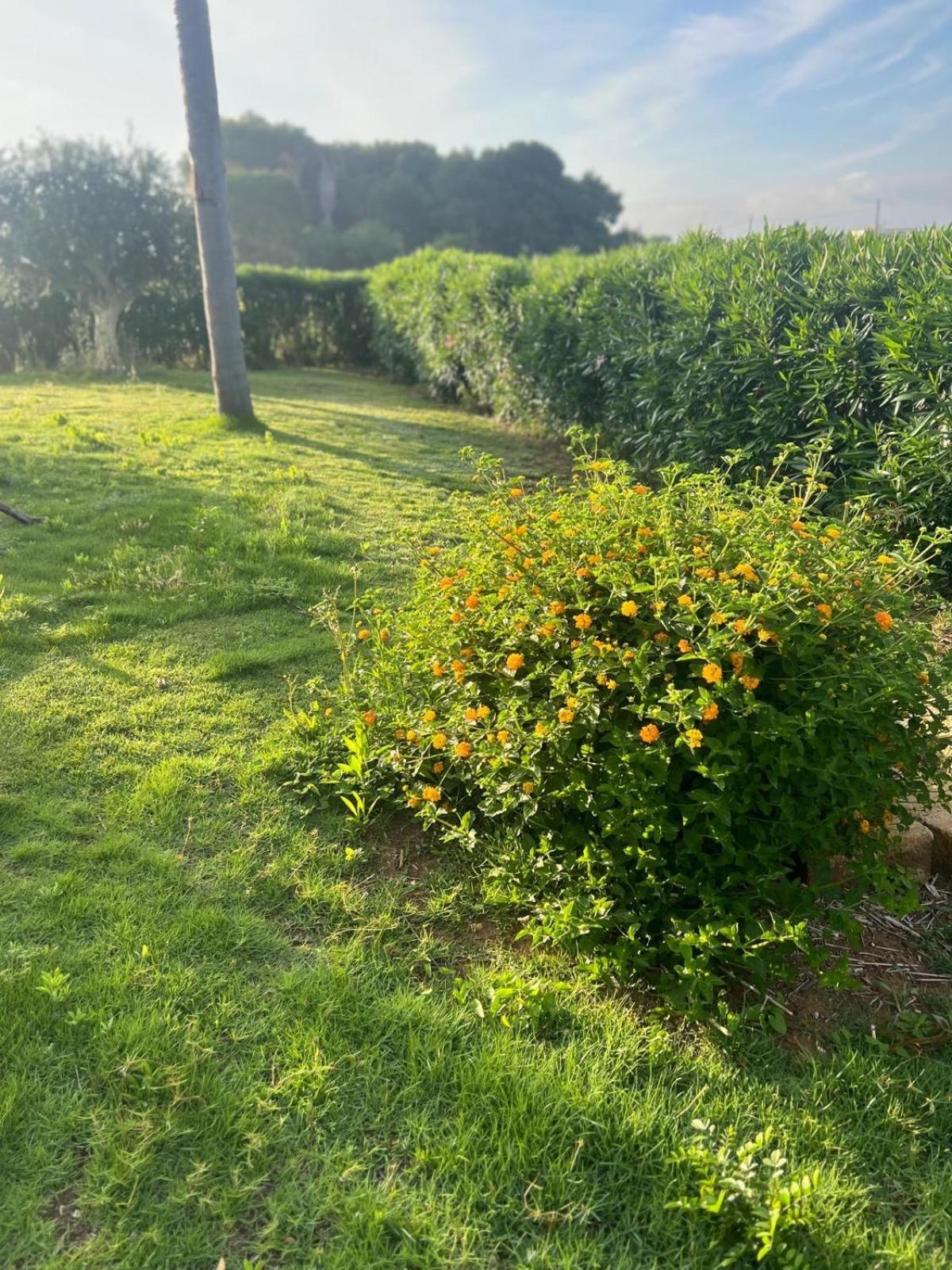 Trenasse Pension Marsala Buitenkant foto
